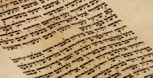 torah_scroll
