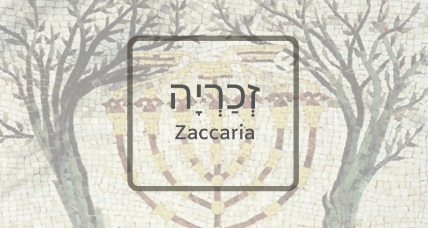 Zaccaria